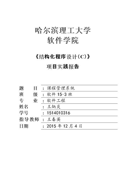 学习编程的报告