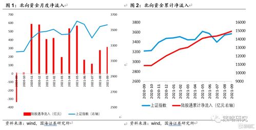 股票华新能源的价值分析