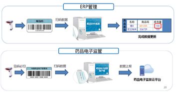 辽宁省外贸