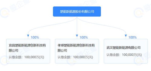 楚能新能源股份有限公司