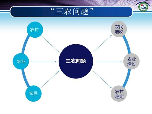 农村电商实务平时作业3