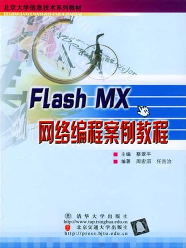 flash编程器