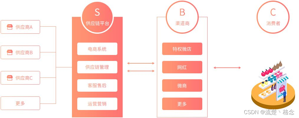 二类电商是指哪些