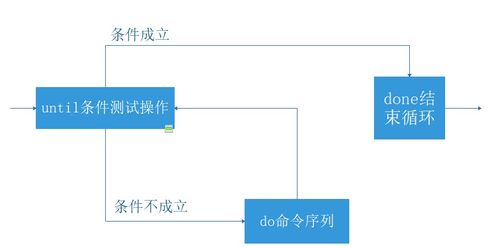 编程循环的作用