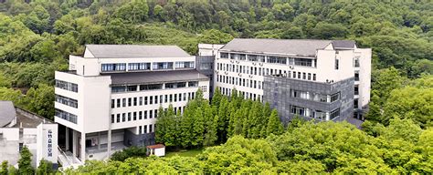 重庆大学城市科技学院学费