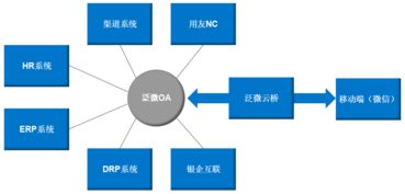 编程的术语有哪些