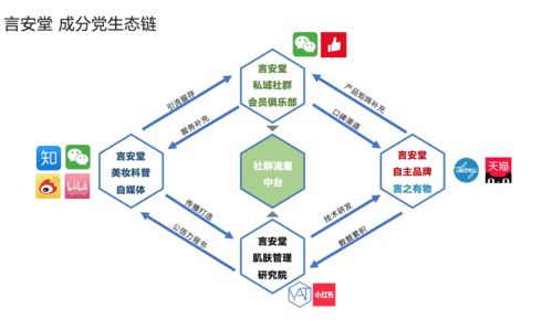 矩阵电商是什么意思