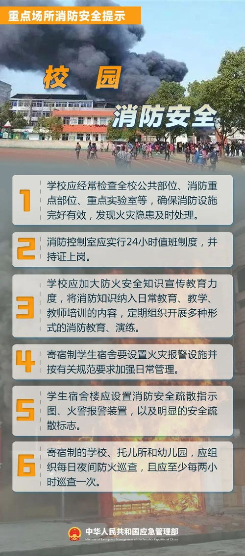 强风暴来袭财务造假的风波与风险警示的紧迫性