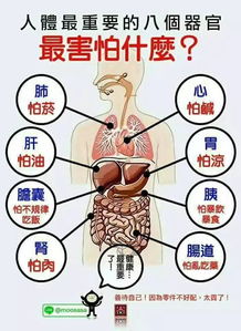 多牛科技股价暴跌市场震荡背后的深层原因分析