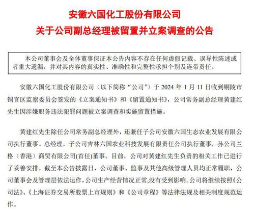 突发！岁董事长被立案调查实施留置！