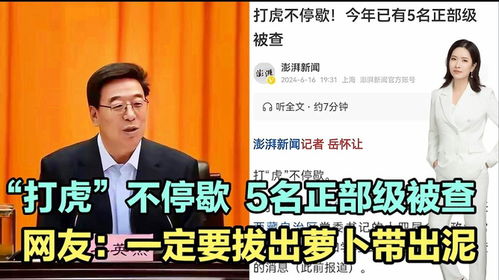 5名正省部级老虎任上被查