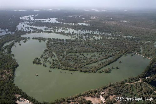 塔里木河干流出现2024年第1号洪水