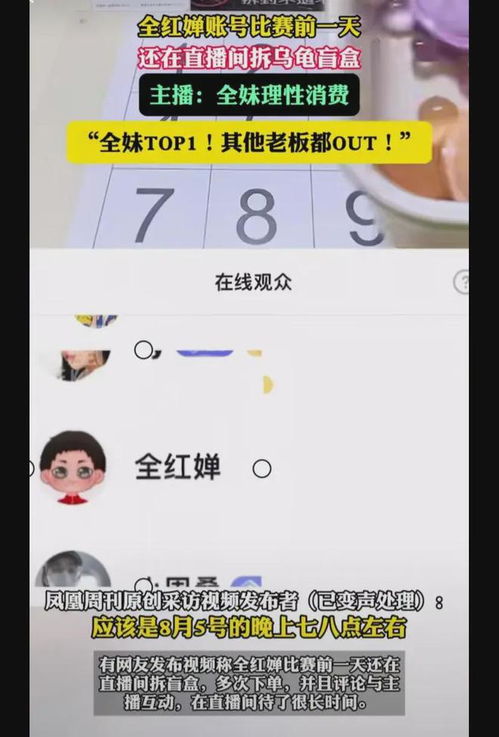 全红婵与彩色乌龟批发