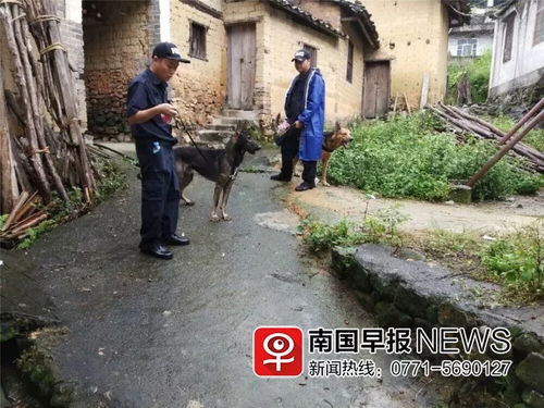 两岁女童失踪7小时 在深山中找到