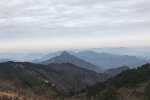 空空落落，探索这个词的独特含义与文化背景