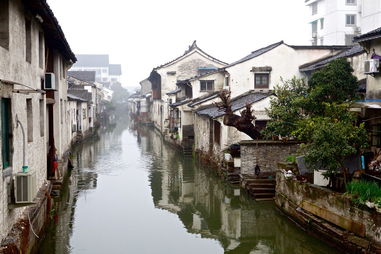 在江南水乡的古镇中，有一条石板路，它蜿蜒曲折，两旁是古朴的建筑和石板铺成的街道。这条石板路见证了古镇的历史，也见证了悲剧的发生。