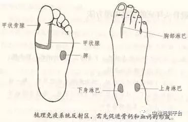 汗疹的成因与全面治疗方法指南