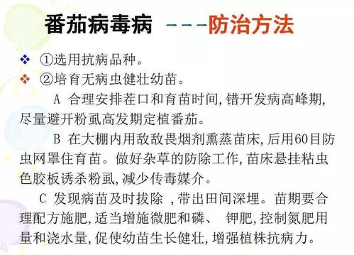 深度解析病毒性疱疹的有效治疗方法与预防策略