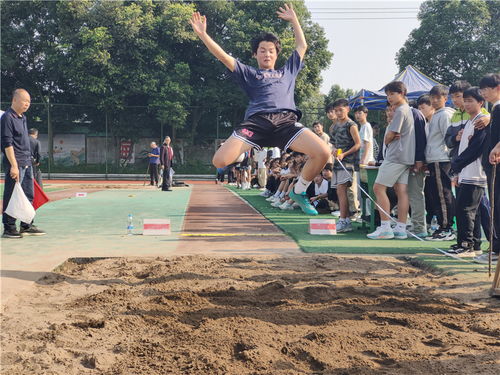 田径运动会2，全面解析现代田径项目与历史演变