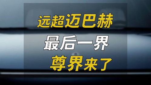 国内最大汽车经销商摘牌退市