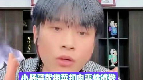 小杨哥所售梅菜扣肉开始退款