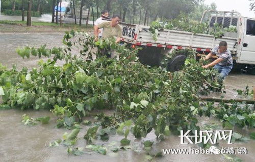 台风过境全红婵家果园受灾