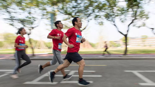 奔跑吧少年，以汗水浇灌青春，用速度丈量未来