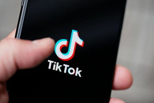 TikTok距离被封还剩四个月