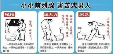 全面解析尿频、尿急、尿痛，症状、原因及应对措施