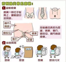 百科知识尿频尿急尿痛？这些应对策略你要知道！