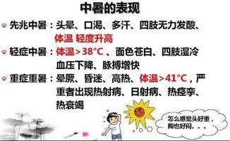 乏力的含义与原因，全面解析身体无力的可能因素