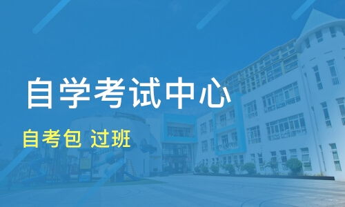 知识的力量，探索学习与分享的无限可能