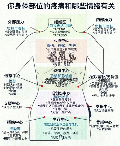 荷尔蒙，身体内的化学信使