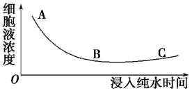 趣味探索！有余数除法的奥秘及实战练习