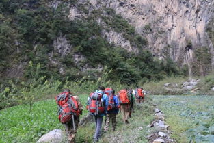 擅闯哀牢山保护区最高罚款五千