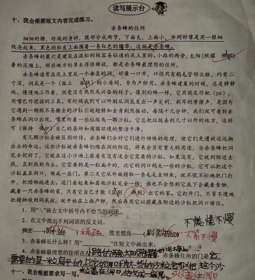 实战分享如何让孩子的笔下生花——小学作文教学案例分析