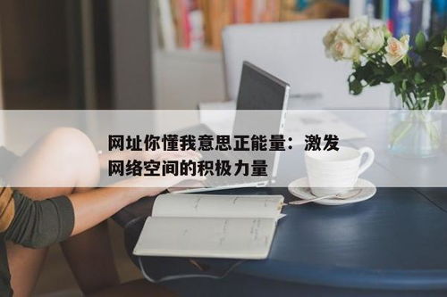 网站你懂我意思正能量，打造健康网络生态的指南