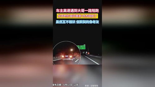 车主高速路上偶遇陪跑，分开时打双闪告别