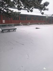 北京真的下雪了