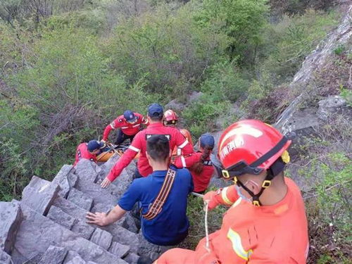 退休教授嵩山野线徒步坠崖去世