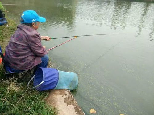 男子在家操控无人机钓鱼，钓获十几条鱼