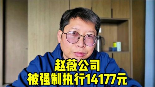 赵薇公司被强制执行14177元事件