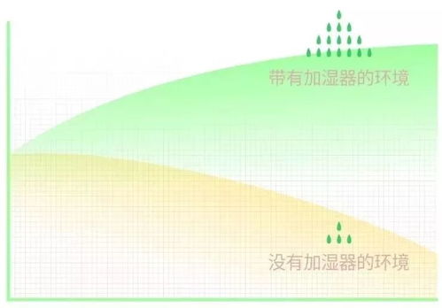 从内到外的健康秘诀