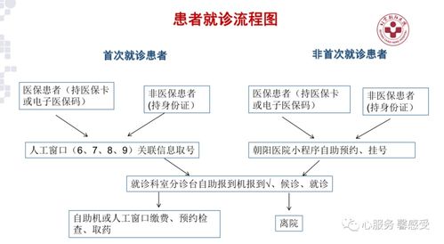 如何高效挂号？——解读朝阳医院挂号全流程与实用攻略