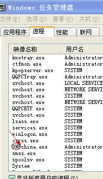 解开罗马音一字ID的奥秘，为什么它如此重要？