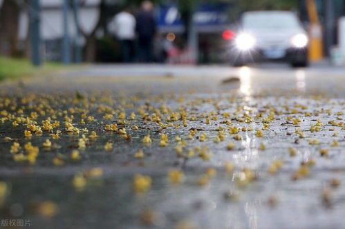 雨过天晴的小世界，从一张图片读懂自然与人性的美好