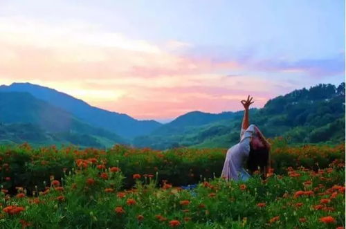 柳暗花明又一村，从困境到希望的诗意之旅