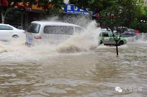 暴雨后的河南许昌，真相与事实