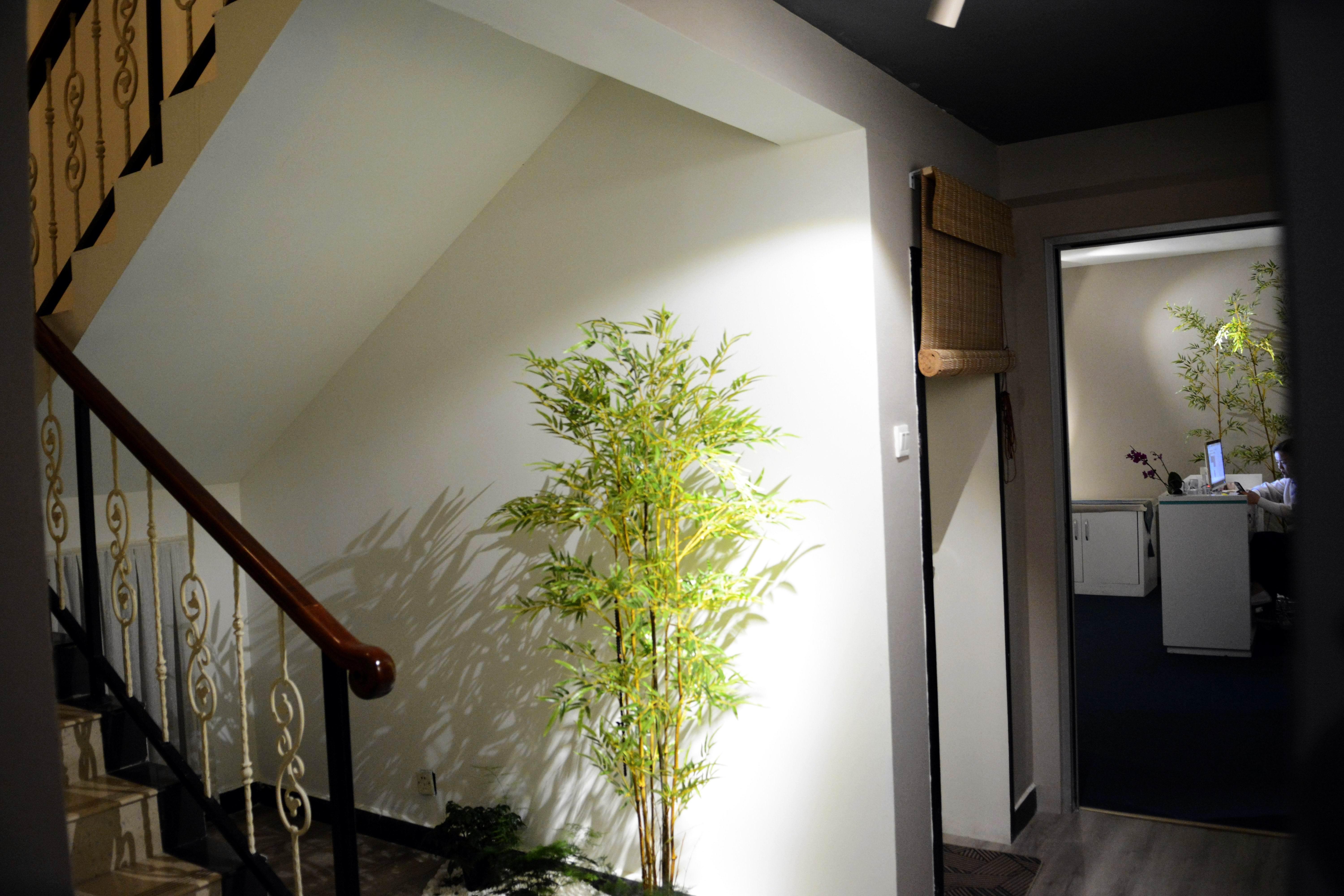 中医养生教学视频大全:轻松学会实用养生技巧,告别亚健康烦恼 中医养生教学视频大全:轻松学会实用养生技巧,告别亚健康烦恼