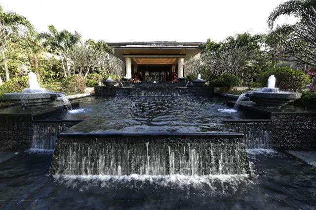 中医养生知识讲座活动内容摘要：从困惑到实践的完整指南，帮你轻松掌握养生精髓